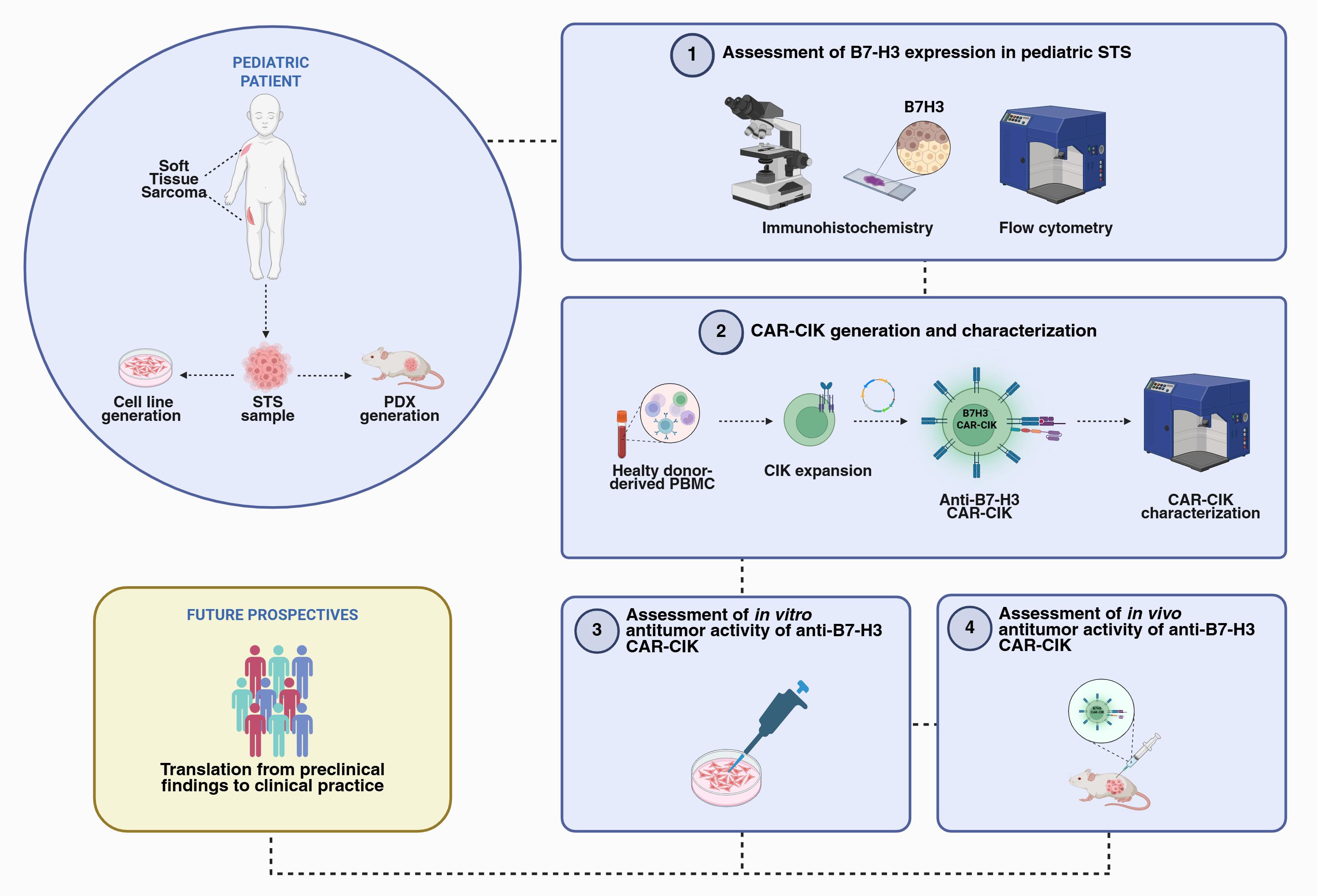 Targeting B7-H3 for Novel CAR-CIK Approaches in Pediatric Soft Tissue Sarcomas