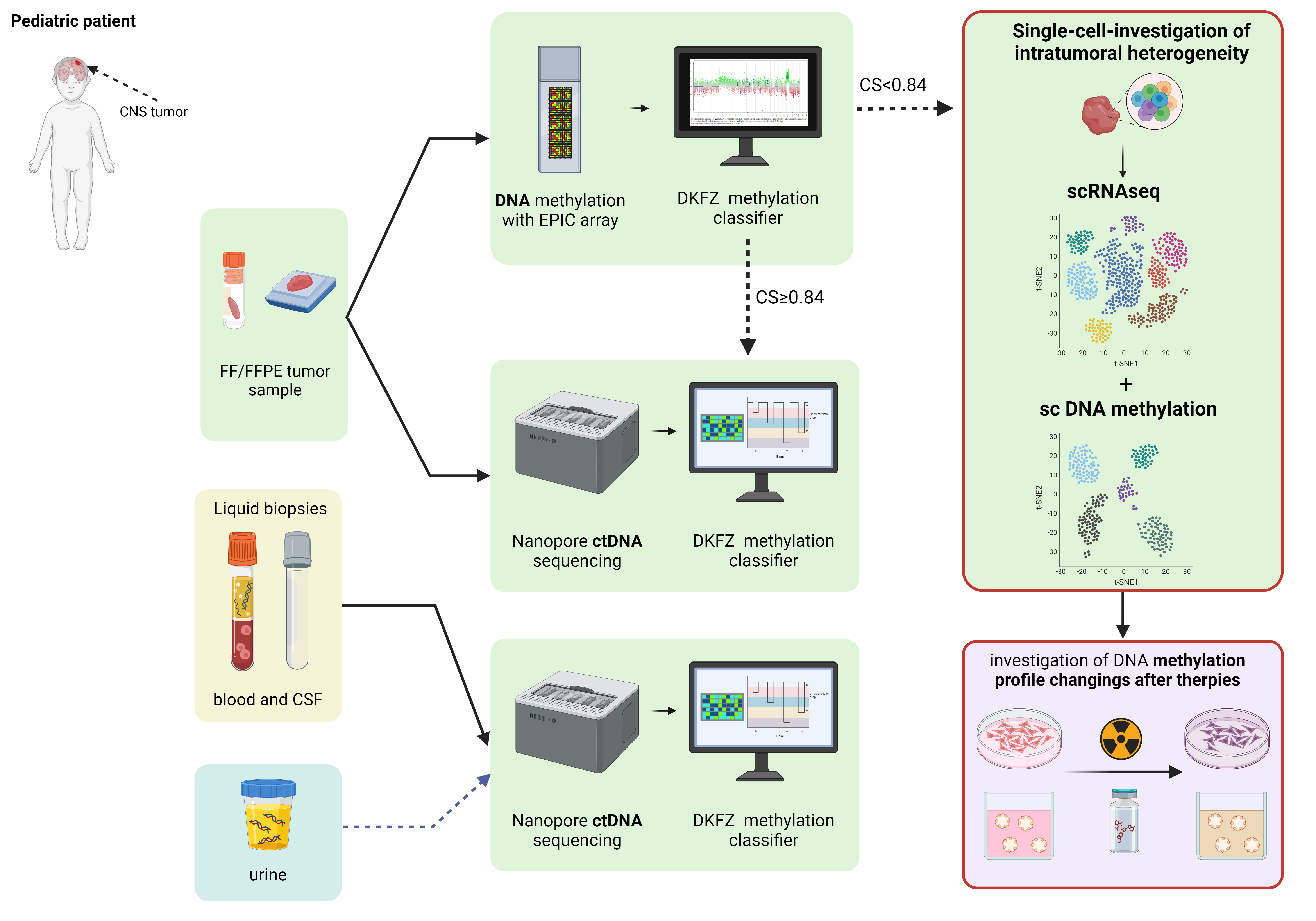Deciphering tumor DNA methylation profiles in liquid biopsies to improve diagnosis and to monitor the course of the disease in pediatric central nervous system tumors