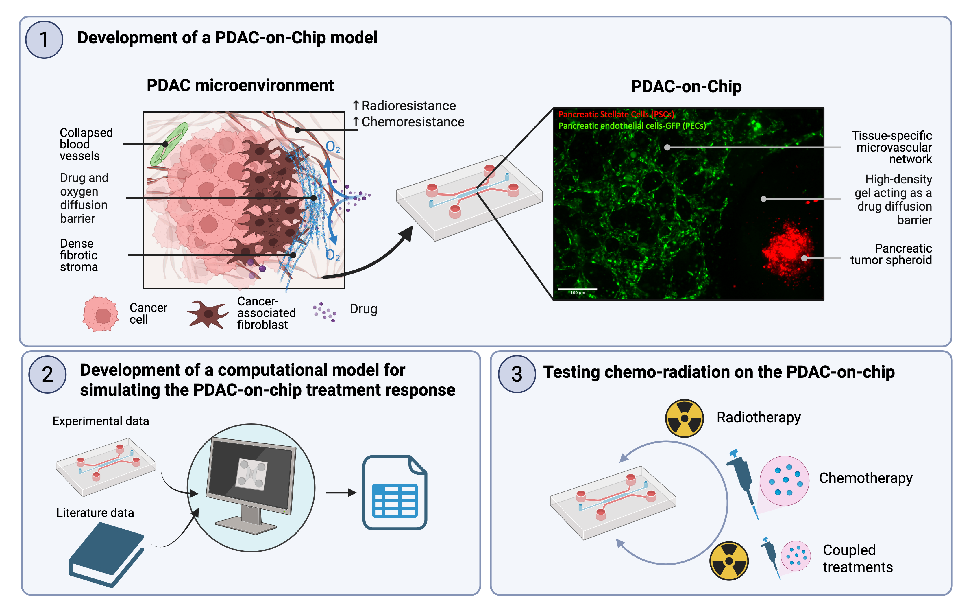 Micro-physio/pathological systems as preclinical models to predict chemo-radiation outcomes in pancreatic cancer: tumor-on-chip platforms