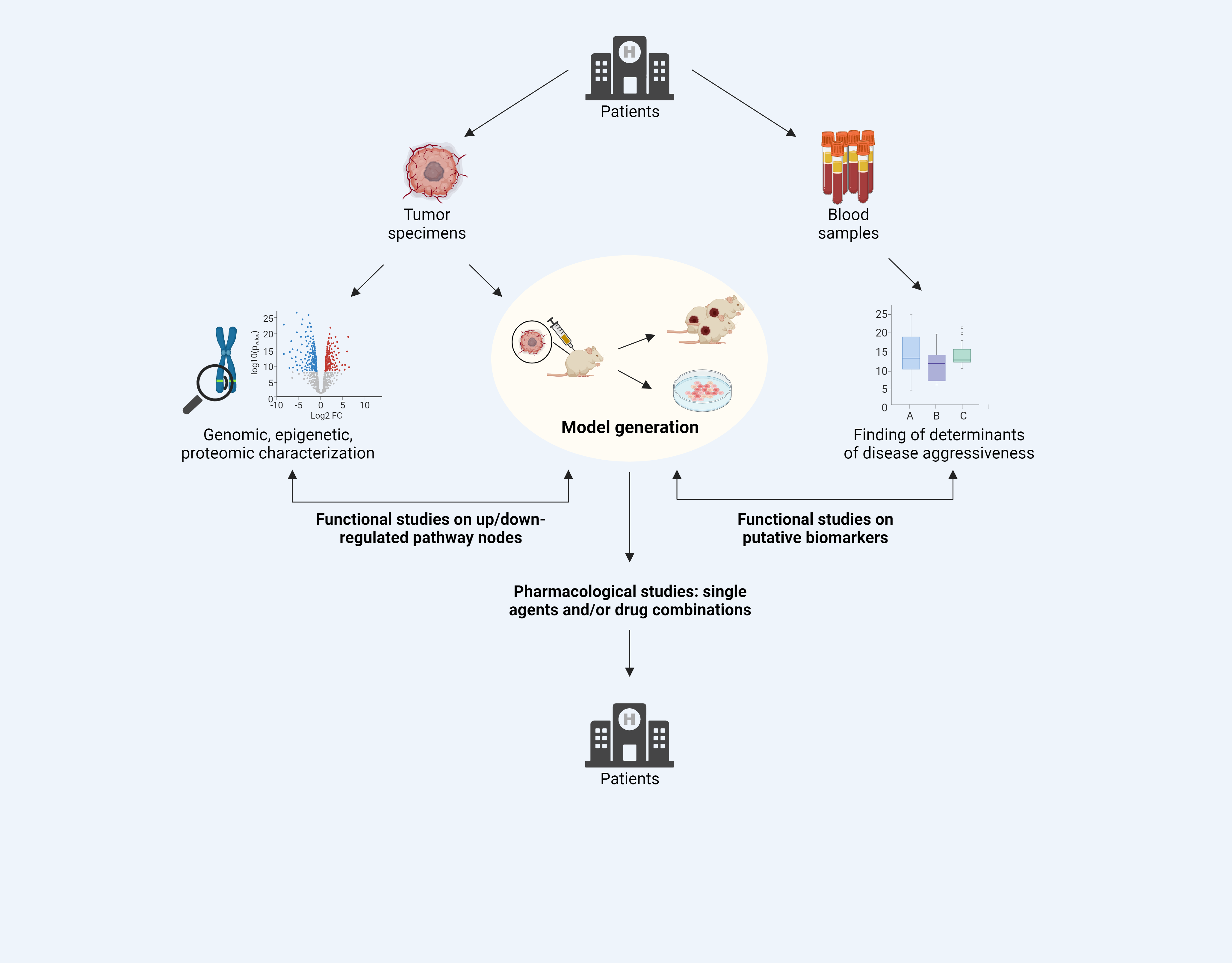 Genomic Characterization and Preclinical Model Development to Expand the Therapeutic Options for Epithelioid Hemangioendothelioma