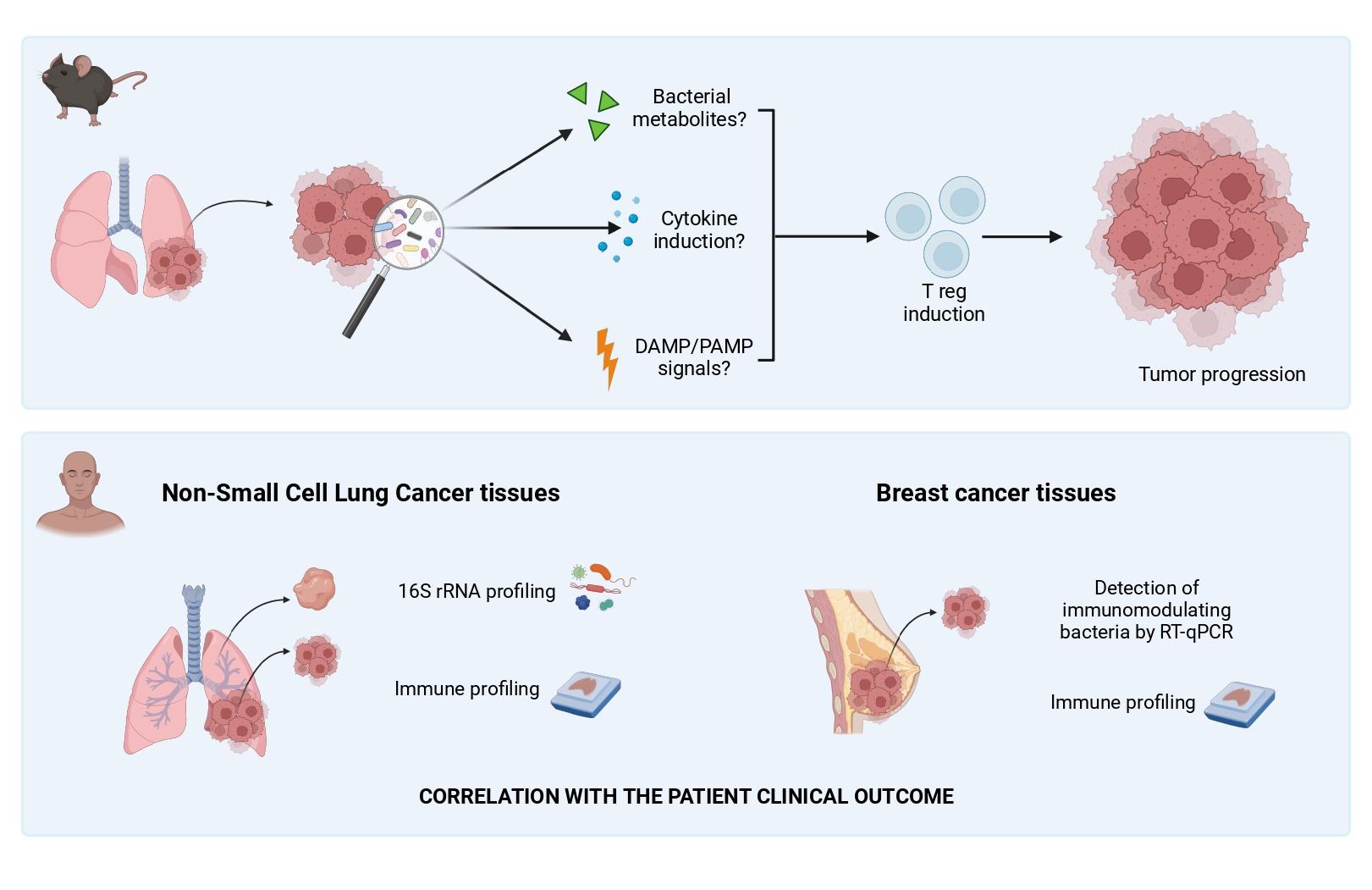 Targeting tumor-associated microbiota: a new strategy to hit tumor cells