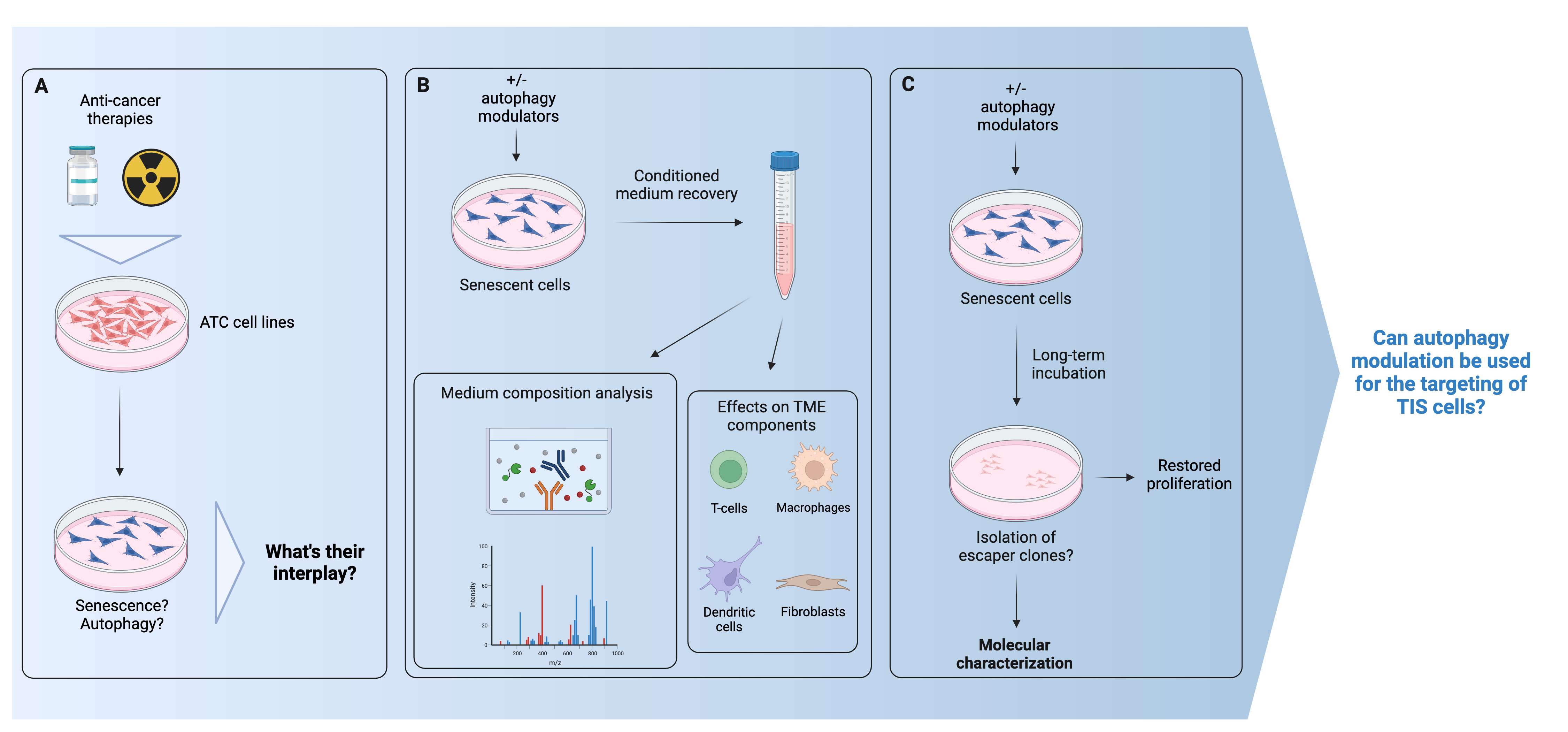 Role of autophagy in therapy-induced senescence in thyroid cancer