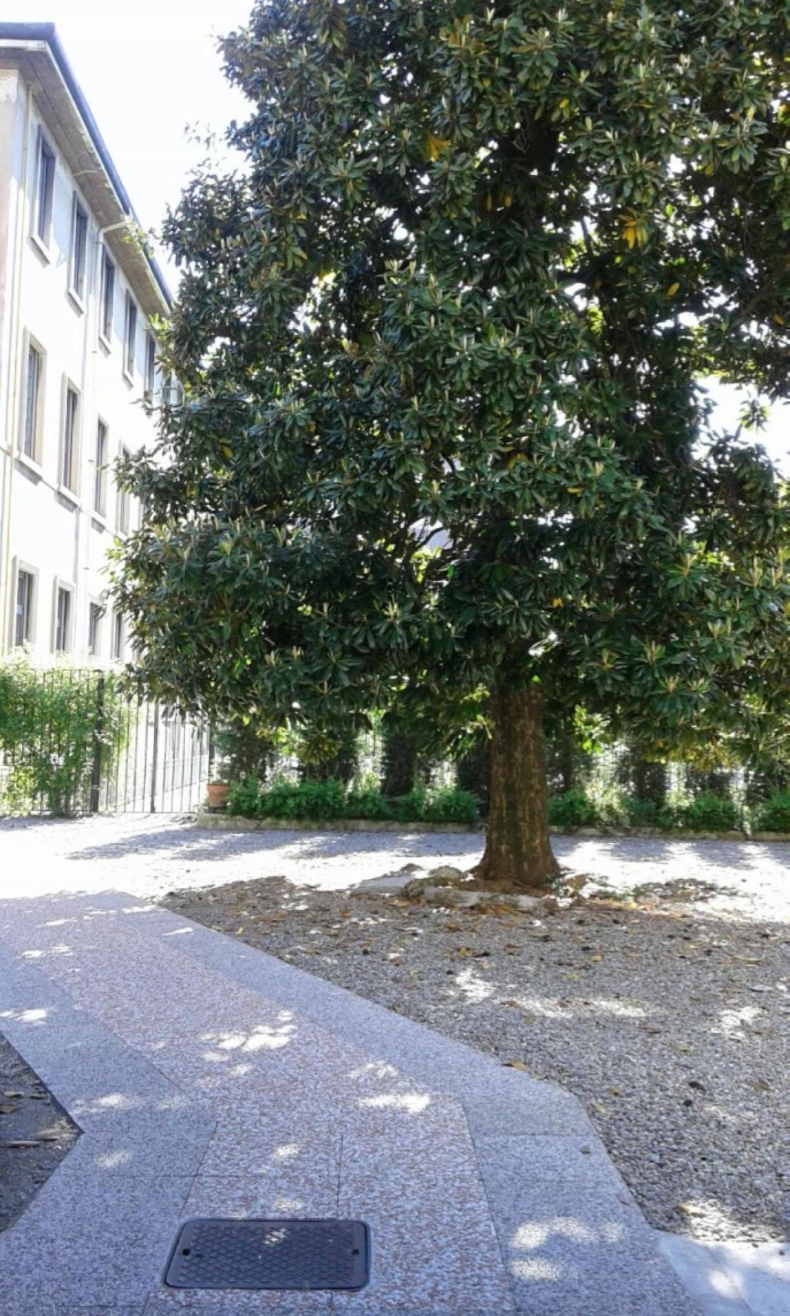 Corso Infermieristica